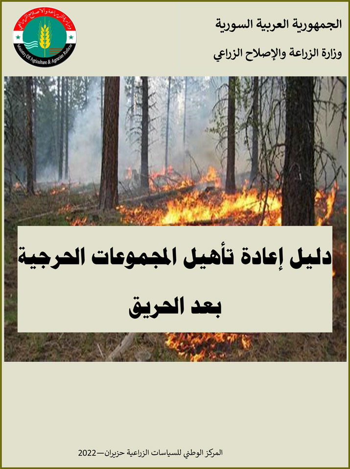 دليل إعادة تأهيل المجموعات الحرجية